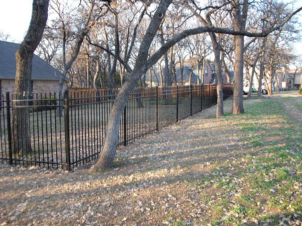 iron fence - Denton, Texas